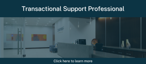 Transactional Support Professional